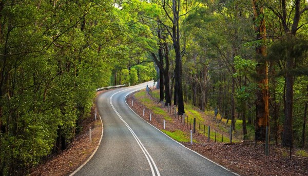 currumbin valley